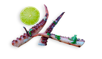 Ranchero Zarandeado | Restaurant Campestre y Mariscos